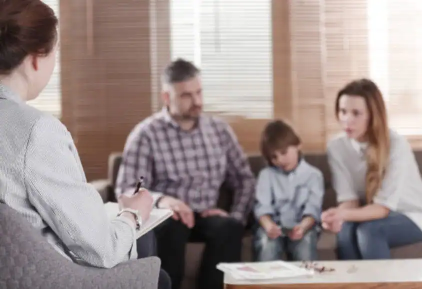 Child Custody and Relocation in International Family Disputes Bedford